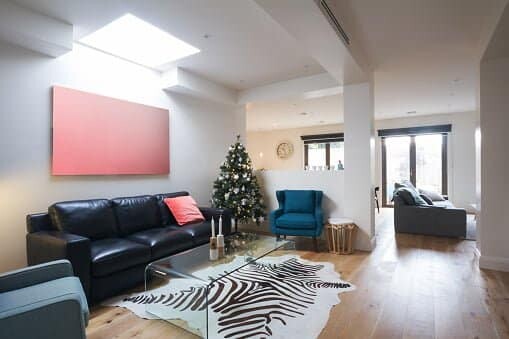 Zebra cow rug in living room